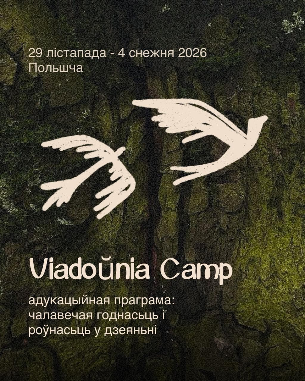 Cover for Viadoŭnia Camp — 5-дзённая праграма пра правы чалавека