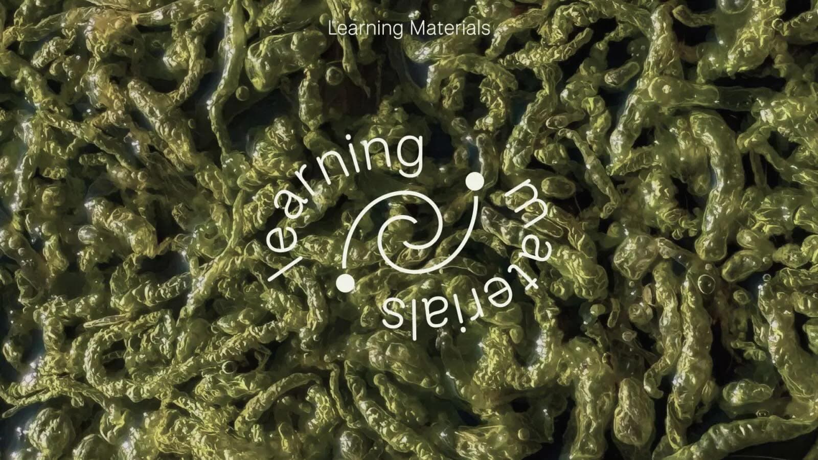 HIAP: Learning Materials International Artist in Residence 2027