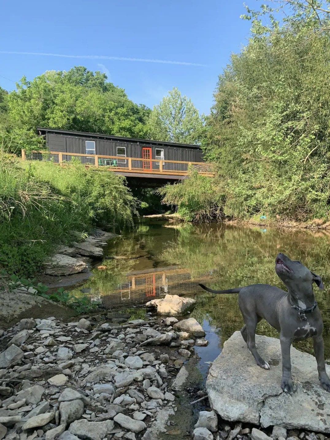 October Writing Retreat at Blue Springs Creek!