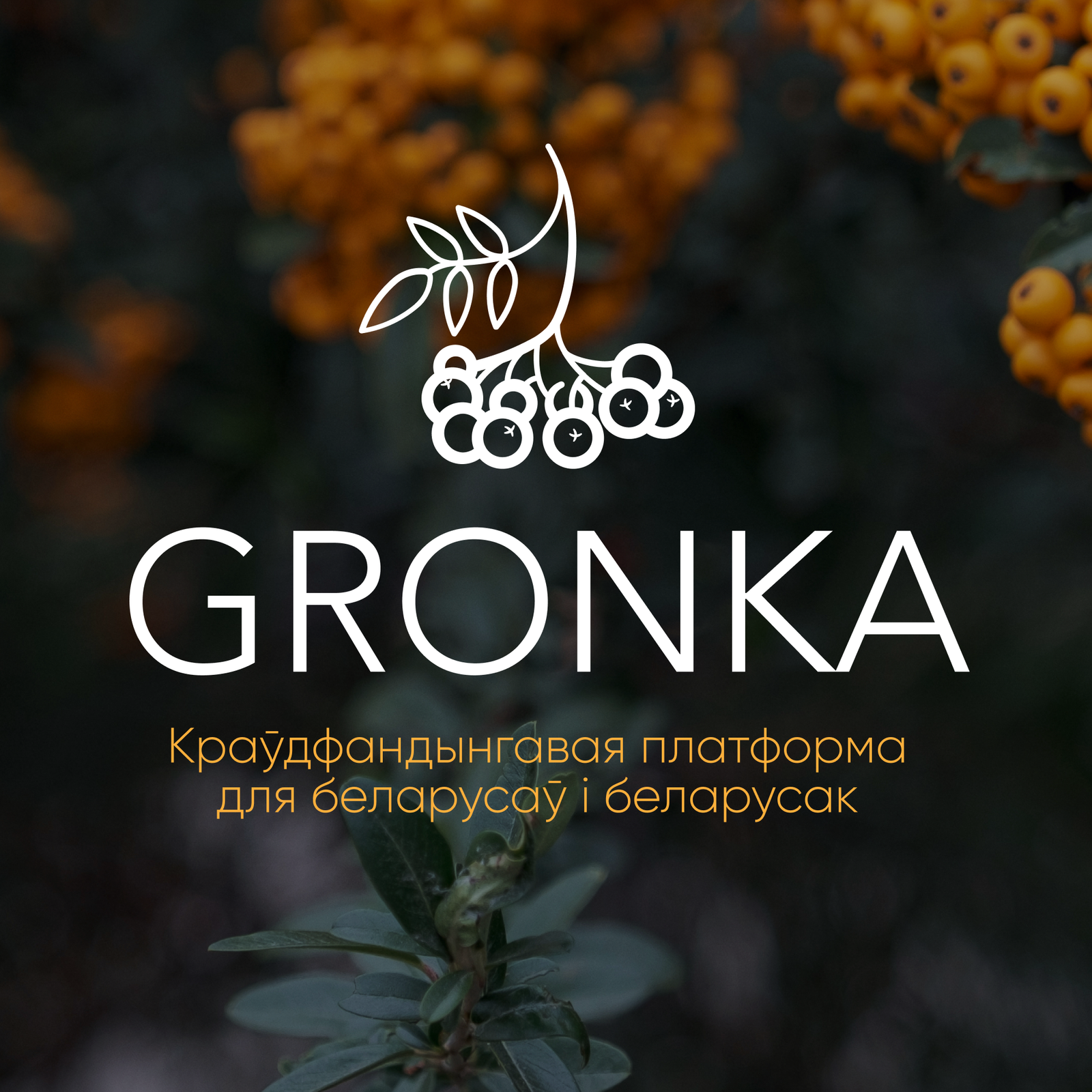 З’явілася новая краўдфандынгавая платформа Gronka. Якія праекты на ёй ужо можна падтрымаць? 